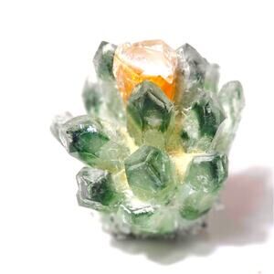 Green Cactus Phantom Quartz Crystal Cluster